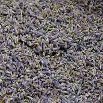Dried Lavender buds - Perfect For Rustic Country Weddings wedding photo - Dried Lavender buds - Perfect For Rustic Country Weddings