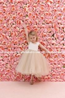 Champagne Flower Girl Dress, Flower Girl Dress Champagne, Champagne Dress, Flower Girl Dress Champagne Tulle, Flower Girl Champagne Dress wedding photo - Champagne Flower Girl Dress, Flower Girl Dress Champagne, Champagne Dress, Flower Girl Dress Champagne Tulle, Flower Girl Champagne Dress