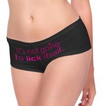 It's Not Going To Lick Itself Hot Pink Cheeky Panty - Valentines Day Gift For Wife, Bachelorette Party Gift, Birthday Gift, Lingerie Shower wedding photo - It's Not Going To Lick Itself Hot Pink Cheeky Panty - Valentines Day Gift For Wife, Bachelorette Party Gift, Birthday Gift, Lingerie Shower