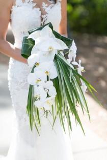 wedding photo - Tropical Wedding Bride Bouquet. White Orchids And Palms. Event Design & Coordination By Greg Boulus Events, Based … 