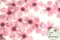 48 wafer paper cherry blossom flowers, 1" across. Edible flowers for wedding cakes, cupcake toppers, and cake pops. Cake decorating ideas wedding photo - 48 wafer paper cherry blossom flowers, 1" across. Edible flowers for wedding cakes, cupcake toppers, and cake pops. Cake decorating ideas