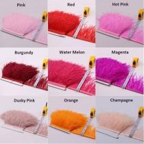 wedding photo -  1 meter Long Ostrich Trim Ostrich Feather Fringe Trim Satin Ribbon Colorful for Dress Millinery Costumes Decoration Pack