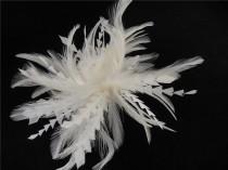 wedding photo -  Feather, Feather Mount, Millinery Feather, Millinery Feather Mount, Hat Trim, Feathers for Millinery, Fascinators & Crafts, 1 Piece