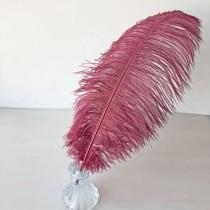wedding photo -  Burgundy Ostrich Feather Soft Plumes Accent for Wedding Centerpieces Home Decoration Pageant Boutiques Millinery Craft