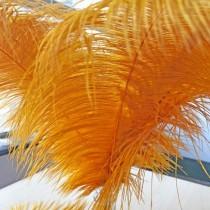 wedding photo -  24-26 inches Gold Ostrich Feathers Soft Plume Addition for Wedding Centerpieces Home Decoration Pageant Boutiques Millinery Craft