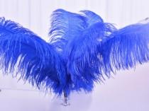 wedding photo -  Ostrich Feather Vibrant Color Floral arrangements Feathers for Carnival Costumes Wedding Centerpieces Samba headdress pack of 10