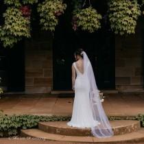 wedding photo - Single Tier Plain Soft Tulle Ballet Floor-Length Wedding Veil 