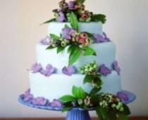 wedding photo - Les bleuets et les hortensias