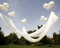 wedding photo - Ballons