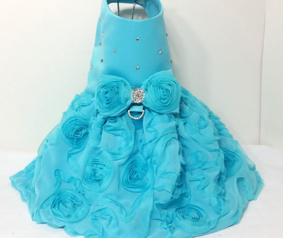Turquoise Rose Dog Harness Dress XX Small Dog Dress To 4X Large Dog ...