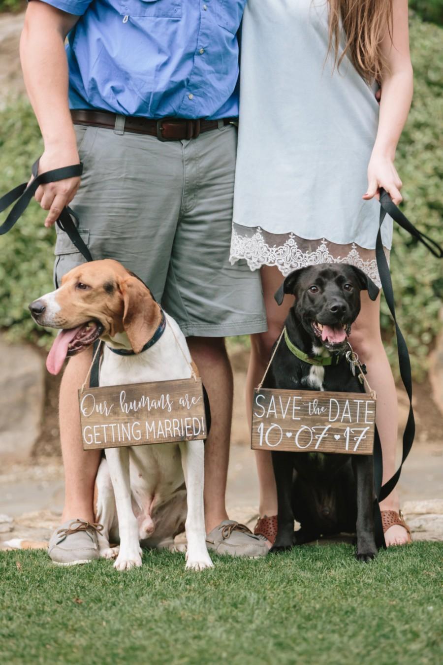 Pet SaVe THe DaTe SiGn - Dog PHoTo PRoP SiGn - Calligraphy Lettering ...
